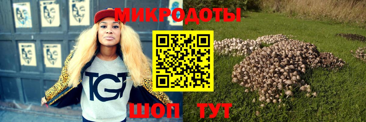 Чернушка  Галлюциногенные грибы Cubensis  Псилоцибиновые грибы мицелий  Вход с VPN 